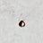 Garnet - January