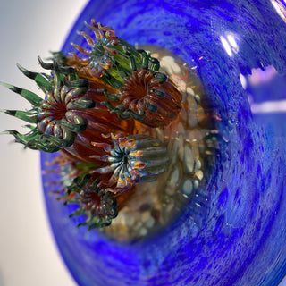 'Keep Your Friends Close and Your Anemones Closer'