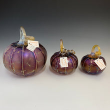 Load image into Gallery viewer, Pumpkins with a Purpose- Petit
