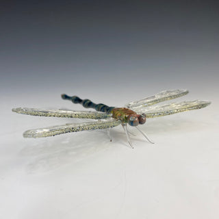 Large Dragonfly