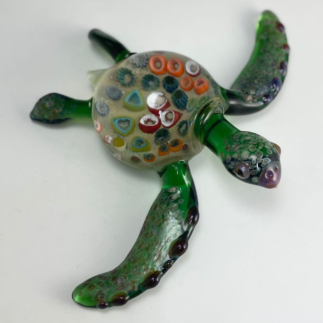 Reef-Shell Sea Turtle