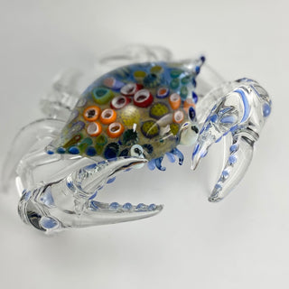 Reef Shell Crab