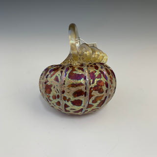 Pumpkins with a Purpose- Petit