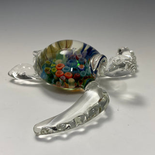 Reef-Shell Sea Turtle