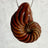 Reddish Brown