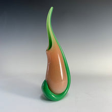 Load image into Gallery viewer, Tropical Pitcher Plants
