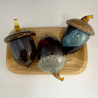 Acorn