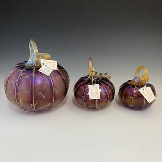 Pumpkins with a Purpose- Petit