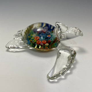 Reef-Shell Sea Turtle