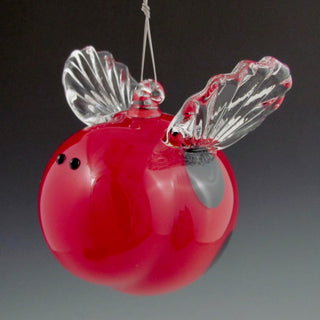 Ladybug