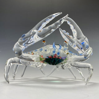 Reef Shell Crab