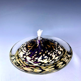 Saturn oil light